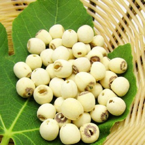 Lotus-seeds-are-good-for-pregnant-women