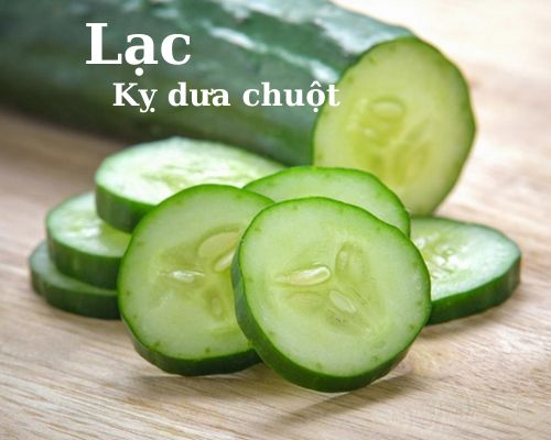 lac-ky-dua-chuot