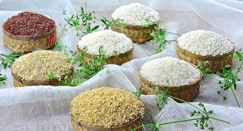 các loại gạo trên thị trường
