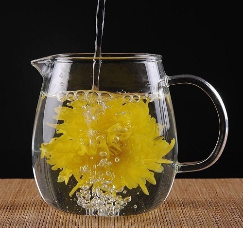 Is-chrysanthemum-tea-good-for-pregnant-women?