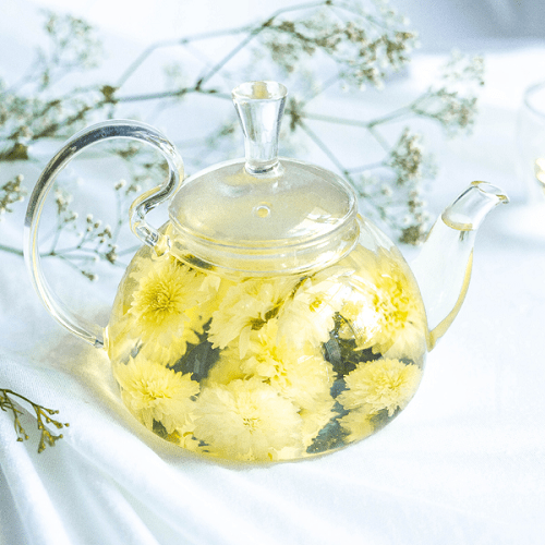 white-chrysanthemum-tea