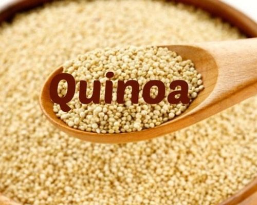 Hạt Quinoa trắng