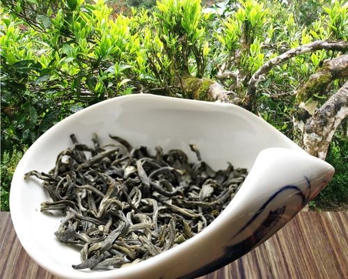 Shan-Tuyet-tea