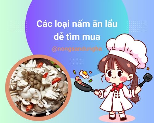 cac-loai-nam-an-lau-de-tim-mua