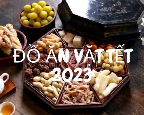 do-an-vat-tet-2023