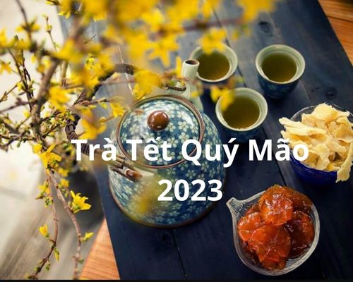 tra-tet-quy-mao-2023