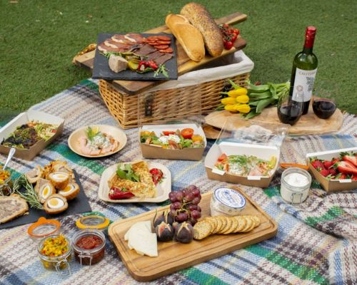 do-an-di-picnic-la-gi