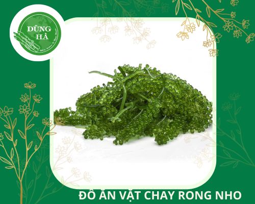 do-an-vat-chay-rong-nho-tach-nuoc
