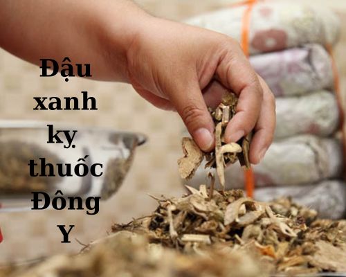 dau-xanh-ky-thuoc-dong-y-chua-benh