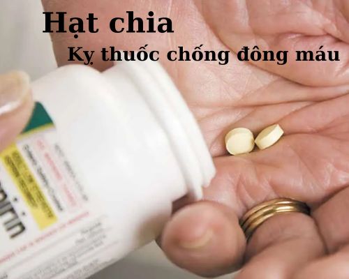 hat-chia-ky-thuoc-chong-dong-mau