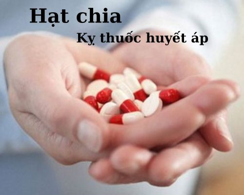 hat-chia-ky-thuoc-huyet-ap