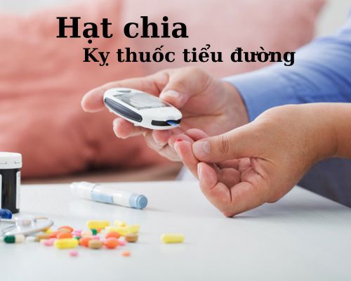 hat-chia-ky-thuoc-tieu-duong