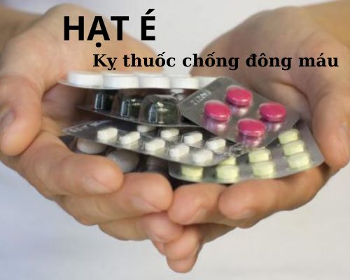 hat-e-ky-thuoc-chong-dong-mau