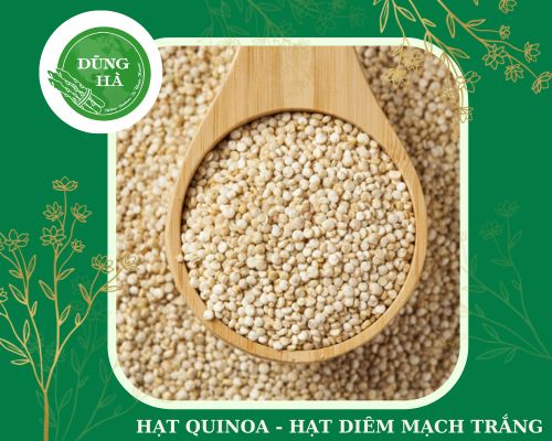 hat-quinoa