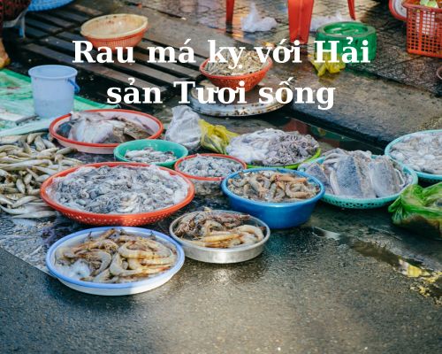 rau-ma-ky-voi-hai-san-tuoi-song