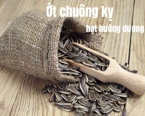 ot-chuong-ky-hat-huong-duong