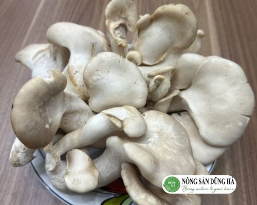 100gr-nam-bao-ngu-bao-nhieu-calo-ban-co-biet