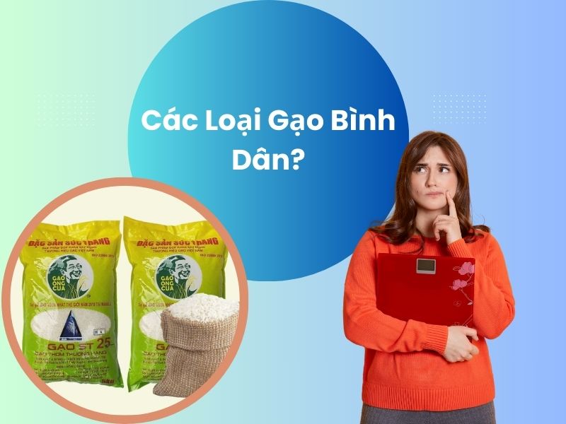 tim-hieu-cac-loai-gao-binh-dan-viet