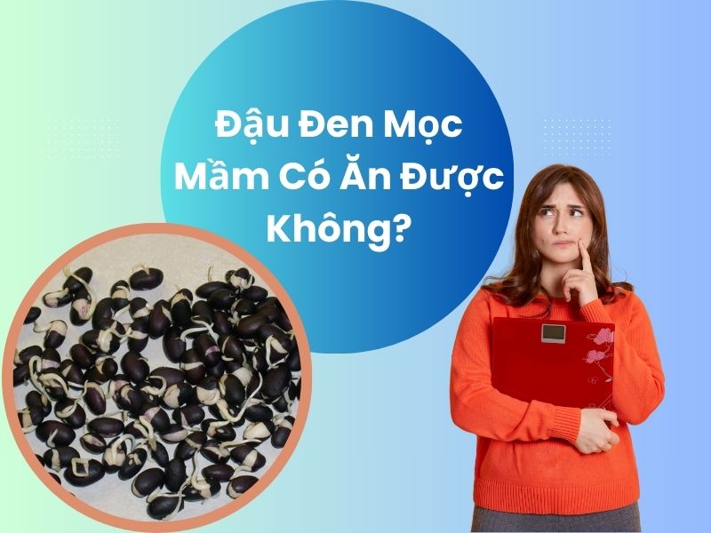 dau-den-moc-mam-co-an-duoc-khong